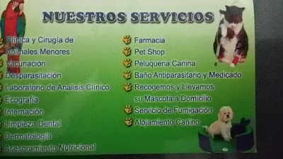 Photos of Veterinaria Pet's
