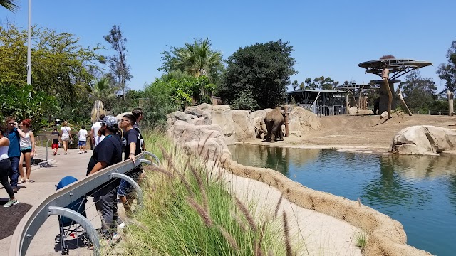 Zoo de San Diego