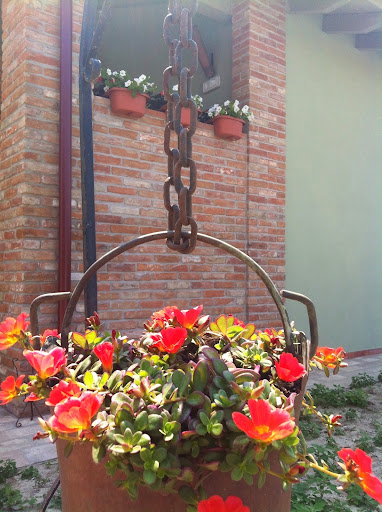 Agriturismo Bassanine - Thumbnail