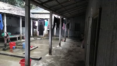 Photos of Taj Mess