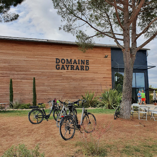 Stations Bee's - Location Velos Électriques au Domaine Gayrard - Thumbnail