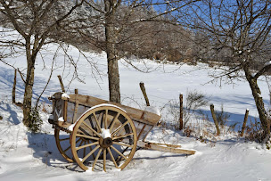 Photo n°29 de Auberge de la Croix de St Sabin à Colombier (Restaurant français)