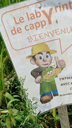 Photo n°17 de La Cueillette de Cappy à Cappy (Maraîcher)