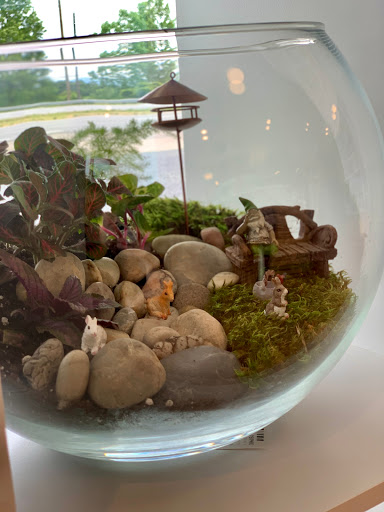 Balanced Roots - Visual