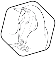 Poly-Poneys à Cambernard