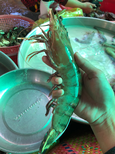 Vựa Thu Mua Tôm Cao Lụa, Hiệp Mỹ Đông, Cầu Ngang, Trà Vinh