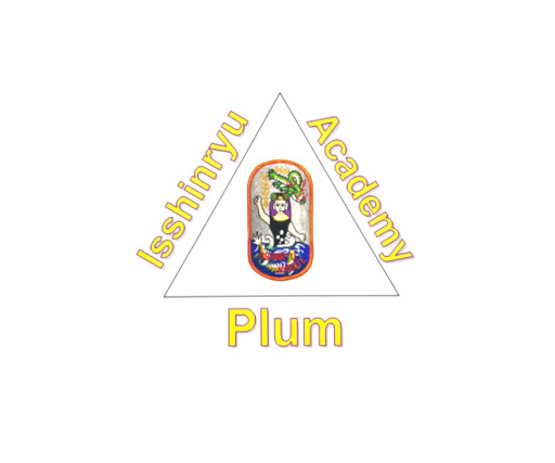 Plum Isshinryu (Karate) Academy - Thumbnail