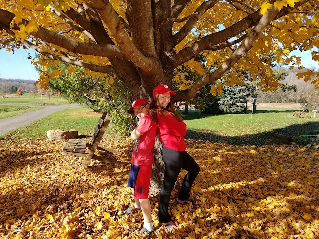 DeSanctis Park