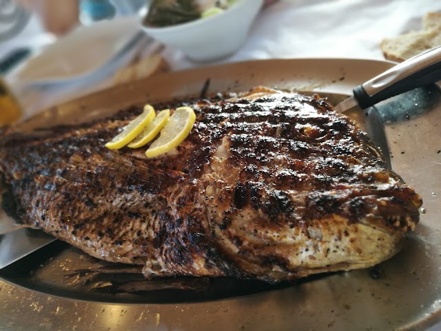 Taverna Porto