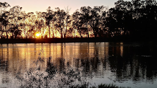 Murray River - Visual