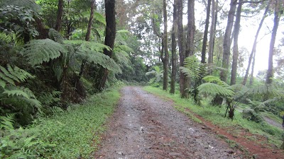Photos of Campgrounds Sukamantri