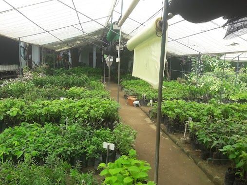 Polwatta Plant Nursery, Author: Tharindu Sampath