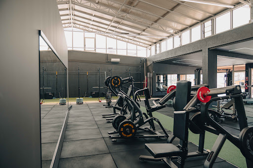 IMPACTRAINING - Visual