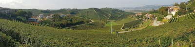 Barbaresco - Cortese Giuseppe