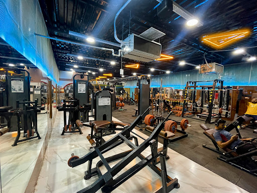 Alpha Muscle Fitness Club