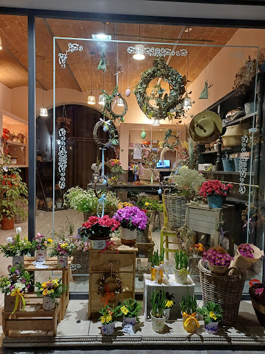 Frida's Pontedera | Italian Flower Stores