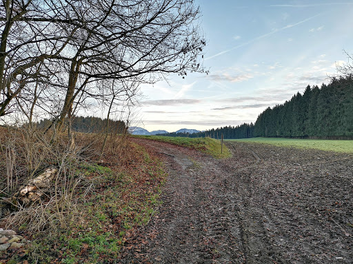Leonhardhof - Visual