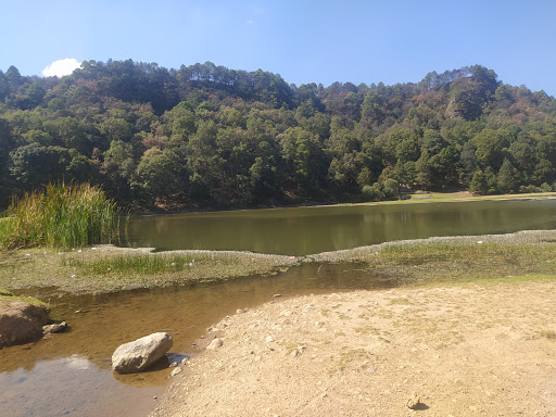 Presa de Molinitos