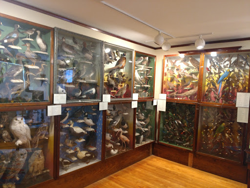 Hoard Historical Museum Gallery - United States