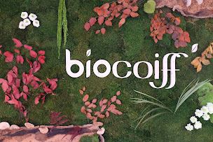 Photo n°2 de Biocoiff' - Coiffeur bio Provins et colorations végétales à Provins (Magasin bio)