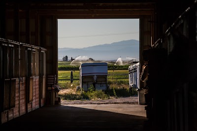 Idaho Youth Ranch Hands of Promise Campus