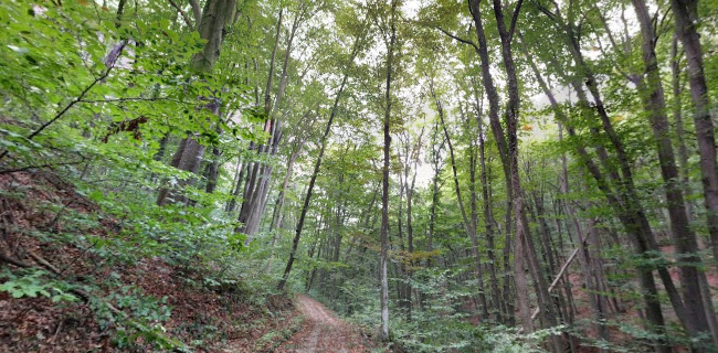 Природен парк „Шуменско плато“