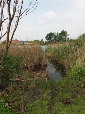 Imieliński Park Krajobrazowy (Jeziorko Imielińskie), Author: Alexander Kharkov