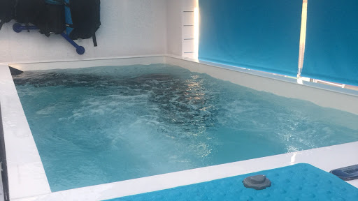 Splash and shake animal hydrotherapy