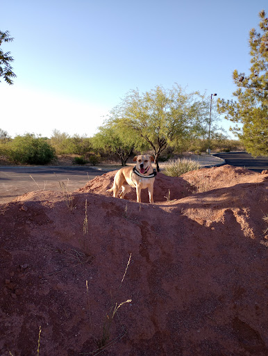 Lincoln Park (Tucson) - Thumbnail