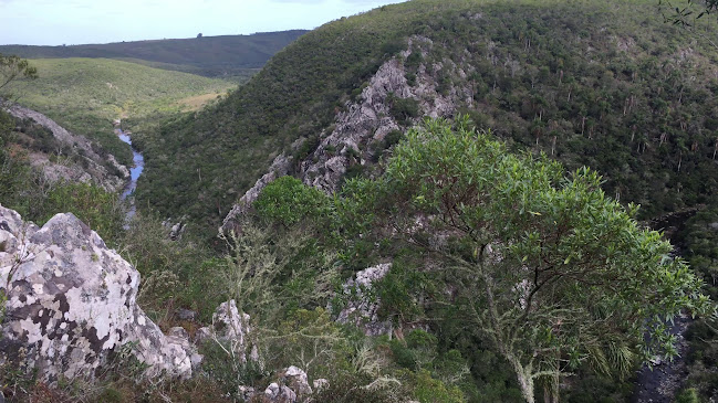 Comentarios y opiniones de Paisaje protegido Quebrada de los Cuervos y Sierras del Yerbal