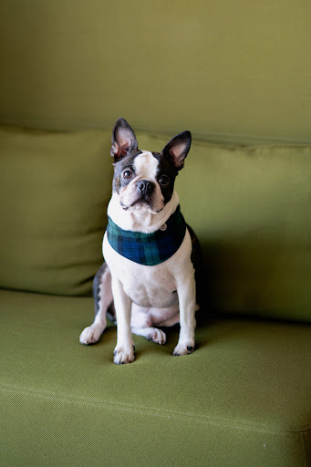 Sinnfalt Immobilien | Immobilienmakler Bad Krozingen