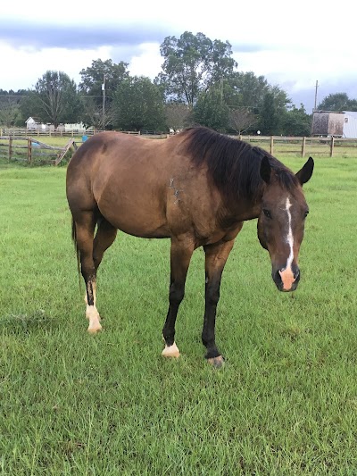 Lightning Strike Ranch