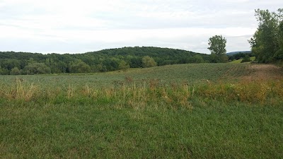 Photos of The Quiet Place