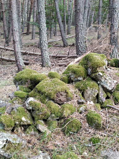 Pla De Buiro - Visual