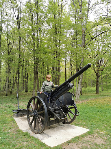 Belleau Wood - Thumbnail