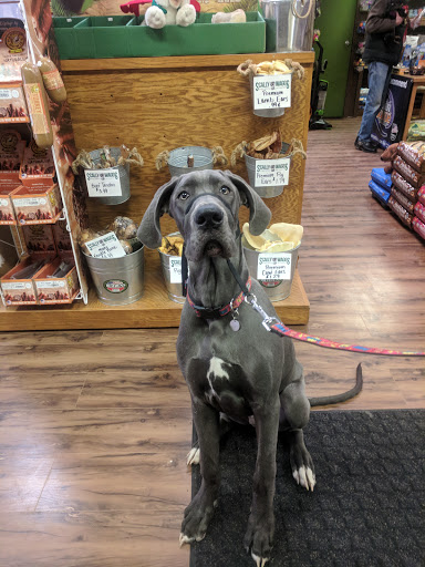 Scally Waggs Doggy Bakery & Pet Supplies - Thumbnail