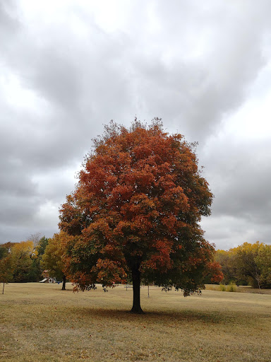 Plumbrook Park - Thumbnail