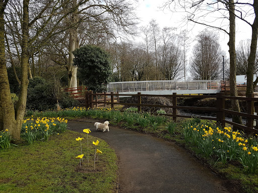 St. Catherine's Park - Thumbnail
