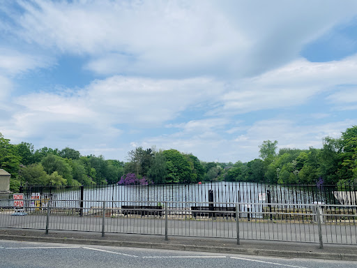 Stamford Park Boating Lake - Thumbnail