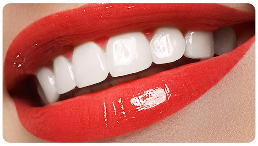 Morton Family Dentistry, PSC Logo