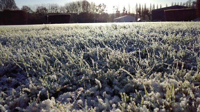 Golf de Maisons Laffitte