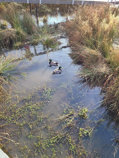 Boardman Wetlands and Nature Playground