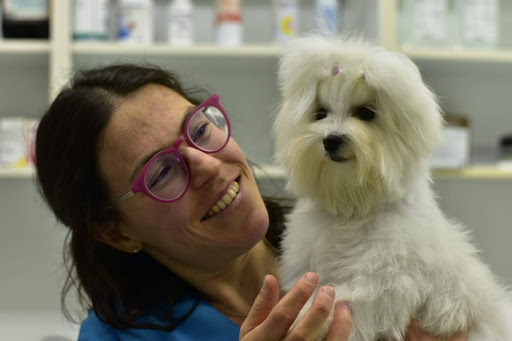 Armando Solis, La Fresneda Veterinarios - Thumbnail