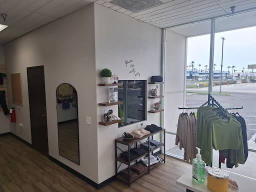 Evolution Cycle Studio - Visual