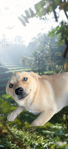 trezs-pets - United States