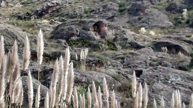 Área de Descanso Puente 5, Author: Pablo Ordazzo