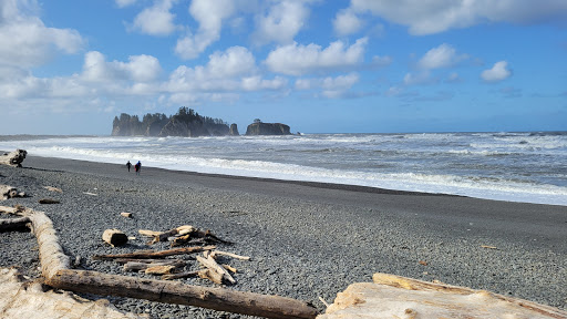 Olympic National - Thumbnail