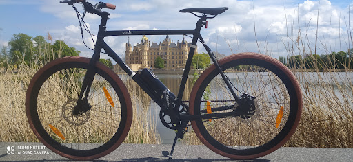 Bicycle, Pedelec, Riksha, Surreybikes for rent Gallery - Germany