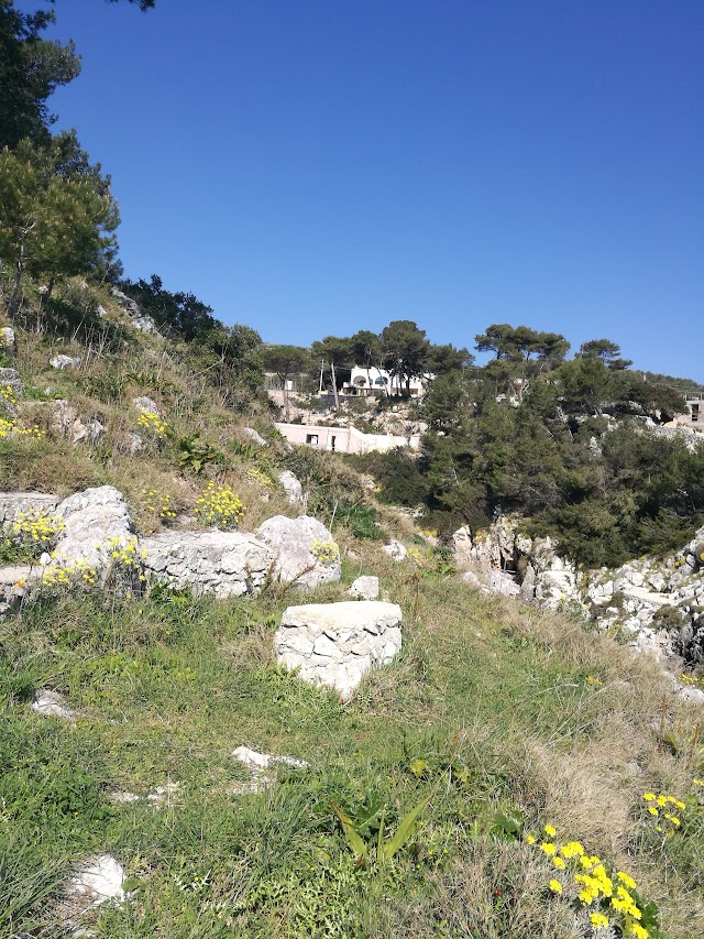 Cala 71