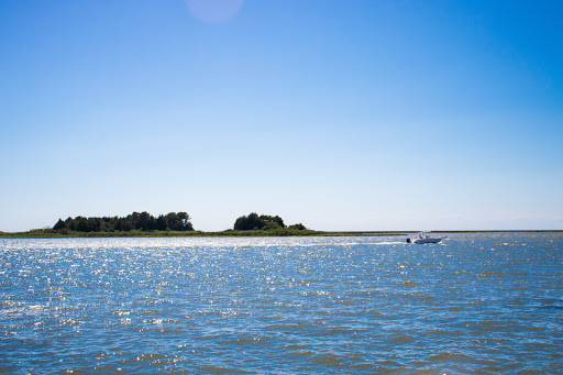 Crisfield Dock Gallery - United States